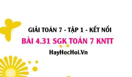 Bài 4.31 SGK Toán 7 tập 1 Kết nối tri thức